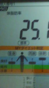 1104体脂肪率